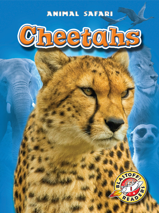 Title details for Cheetahs by Megan Borgert-Spaniol - Available